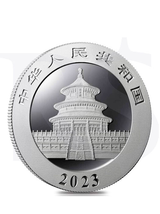 2023 Chinese Panda 30 grams Silver Coin