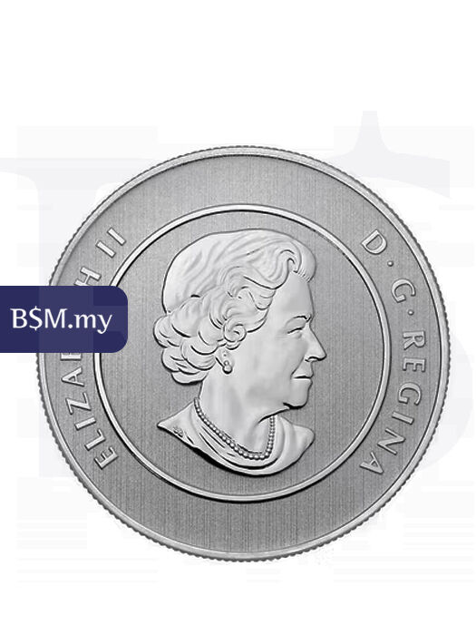 Canadian Polar Bear 1/4 oz 9999 Silver Coin