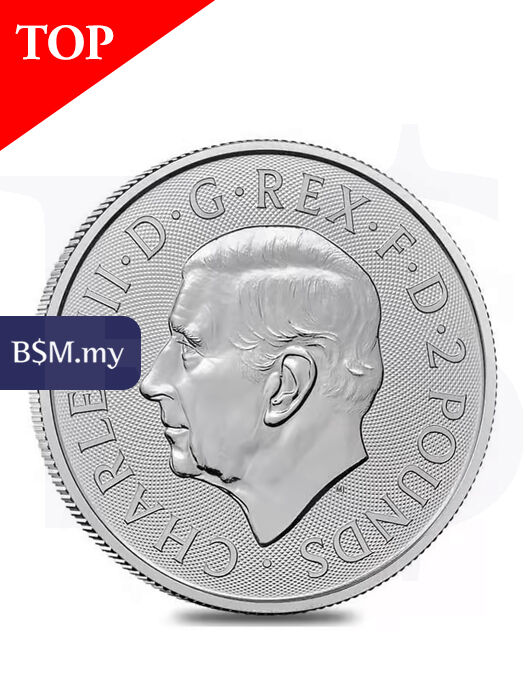 2025 Britannia 1 oz Silver Coin