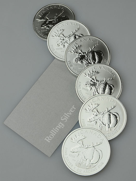 Canadian Wildlife Series: Moose 1oz Silver Coin (Capsule)