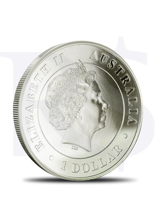 2015 Perth Mint Funnel Web Spider 1 oz Silver Coin (With Capsule)