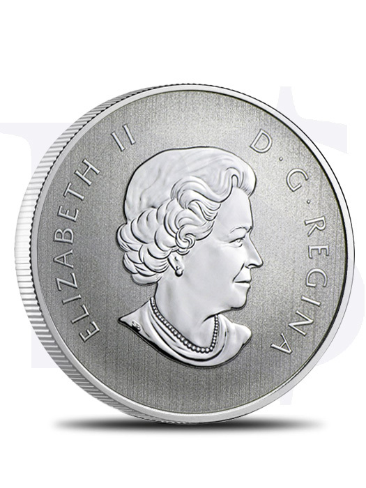 2015 Canada Maple Leaf 1/2 oz Silver Coin