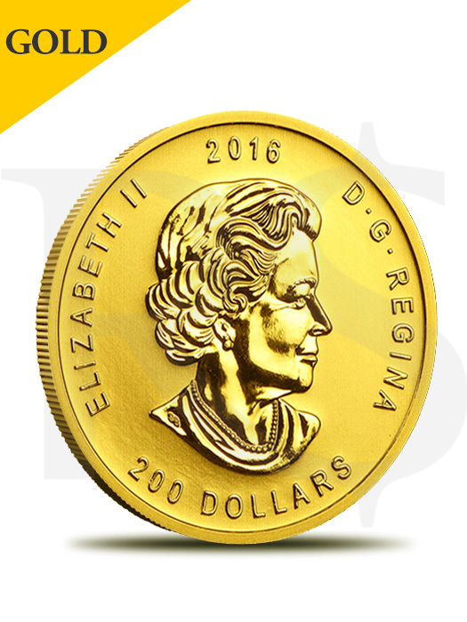 2016 Canada Roaring Grizzly Bear 1 oz 99999 Gold Coin