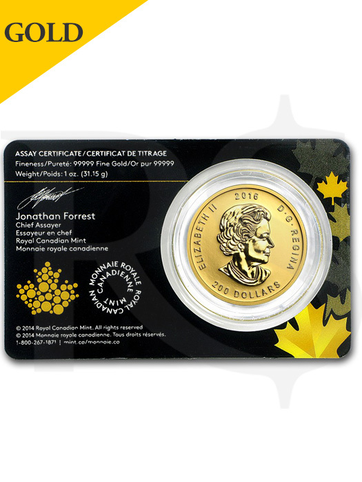 2016 Canada Roaring Grizzly Bear 1 oz 99999 Gold Coin