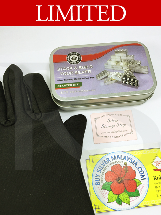 Monarch Precious Metal Silver Building Blocks 6 oz - Starter Kit