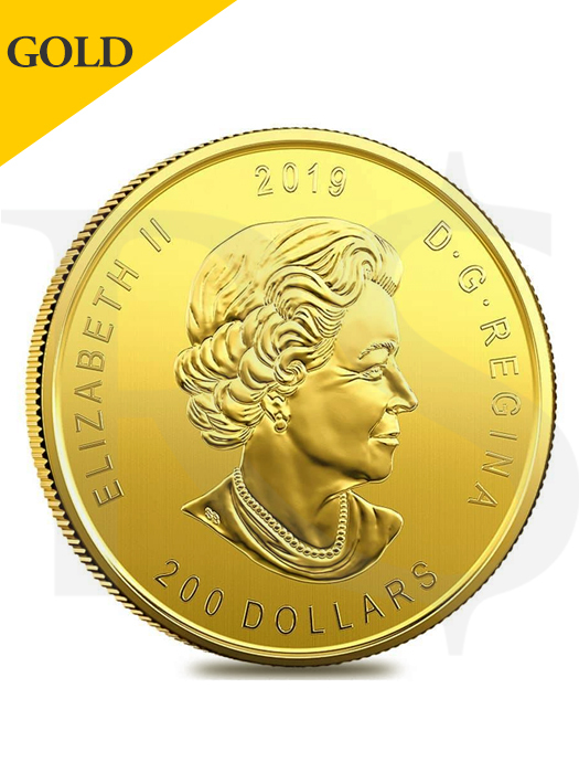 2019 Canada Moose 1 oz 99999 Gold Coin