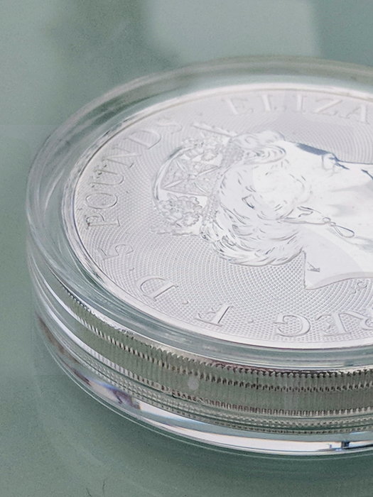 Coin Capsules 39mm (Thick)