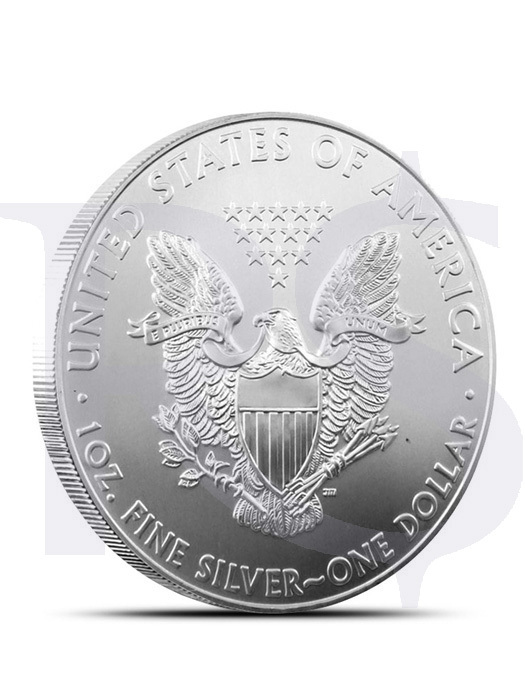 2013 American Eagle 1 oz Silver Coin (with Capsule)