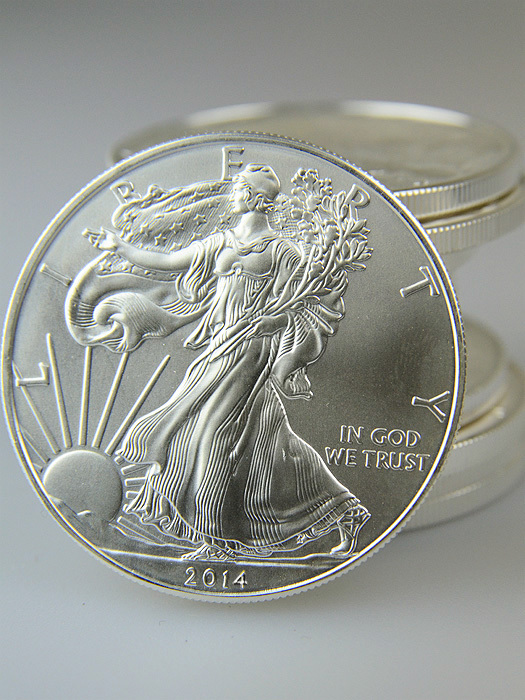 2014 American Eagle 1 oz Silver Coin (Tube of 20)