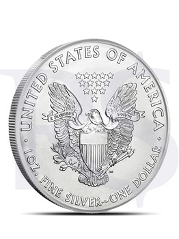 2010 American Eagle 1 oz Silver Coin (with Capsule)