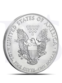 2011 American Eagle 1 oz Silver Coin (with Capsule)