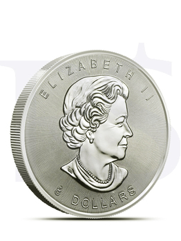 2015 Canada Polar Bear & Cub 1.5 oz Silver Coin