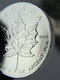 2013 Canada Maple Leaf 1 oz Silver Coin (with Capsule)