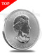 2011 Canada Maple Leaf 1 oz Silver Coin (with Capsule)