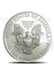 2017 American Eagle 1 oz Silver Coin (with Capsule)