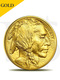 2017 American Buffalo 1 oz 9999 Gold Coin